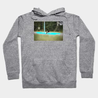 Magpie / Swiss Artwork Photography Hoodie